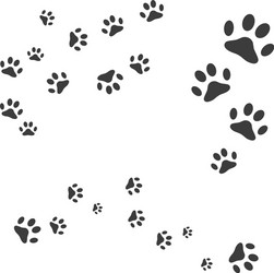 paw logo design Vector Image
