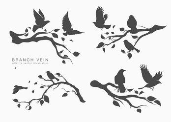 figure set flock flying birds on tree Vector Image