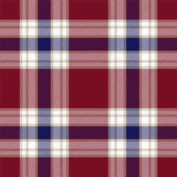 red blue tartan plaid pattern vector