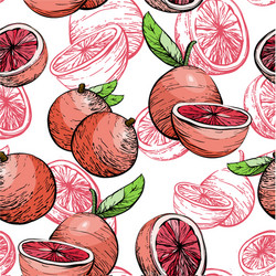 citrus seamless pattern with grapefruit vector