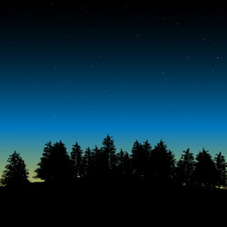 Evening contour black and landscape trees vector