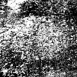 grunge texture white black Vector Image