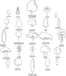 Tree types icons set outline style vector