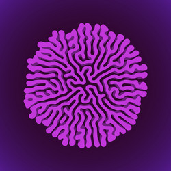 Turing Reaction Diffusion Pattern vector image