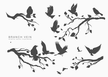 figure flock flying birds on tree branch Vector Image
