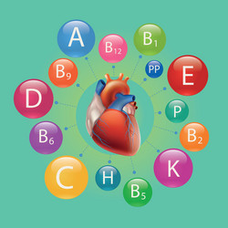 heart and vitamins vector