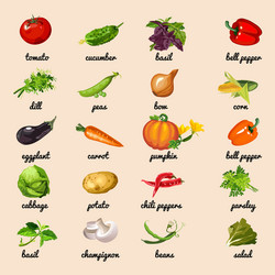 Food vegetables set Royalty Free Vector Image - VectorStock