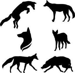 Wild Animal Silhouettes Vector Image