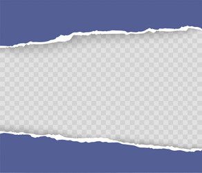 torn paper with ripped edges and soft shadow vector image