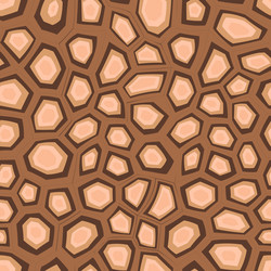 abstract modern turtle shell seamless pattern vector image