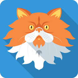 fluffy persian cat icon flat design vector