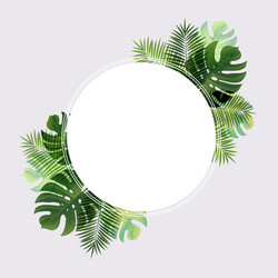 Tropical Ball Banner Vector Image