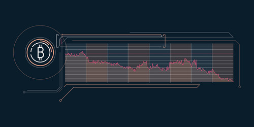 Abstract simple infographics about bitcoin price Vector Image