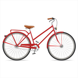 retro vintage bicycle isolated on white background Vector Image