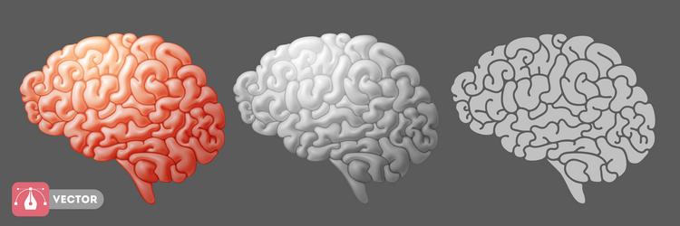 Pink brain side view Royalty Free Vector Image