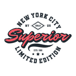 NY Brooklyn T-Shirt Print - Collegiate Style Vector Image