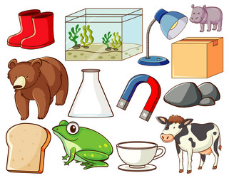 set of various animals and objects vector