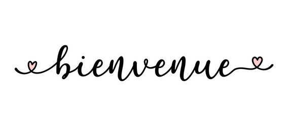 Hand sketched bienvenue quote in french vector