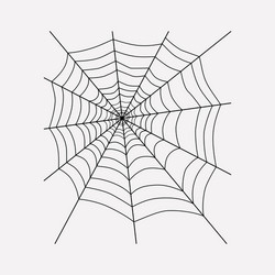 Spiders web icon line element vector