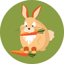 cute rabbit eating a carrot vector