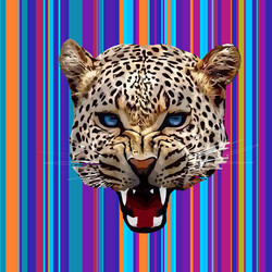 leopard print pattern repeating seamless vector image
