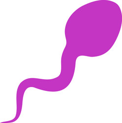 Spermatozoon icon vector