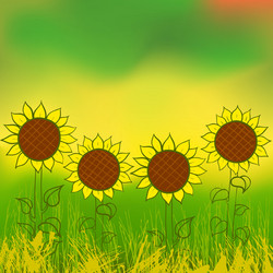 watercolor sunflower vector