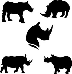 rhinoset Vector Image