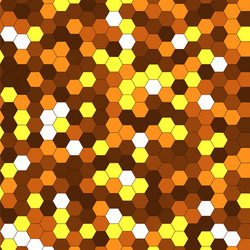 abstract background of multicolored hexagon vector image