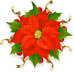 Poinsettia Christmas Flower Vector Image