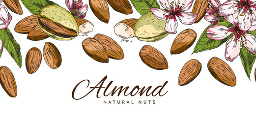 natural almond nuts advertising banner with text vector