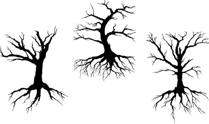 dead trees with stem and roots vector