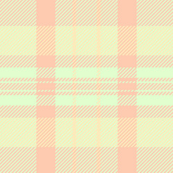 spring fabric check background expressive texture vector image