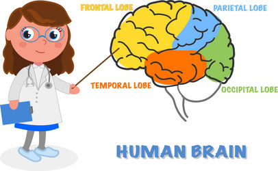Neurologist Vector Images within Healthcare & Medical (over 1,000)