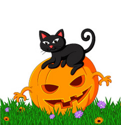 black cat sitting on halloween pumpkin vector