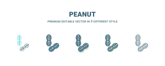 Peanut icon in 5 different style outline filled vector