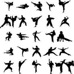 Karate Silhouettes Collection Vector Image