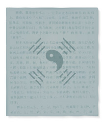 Sign the yin and yan on old paper vector