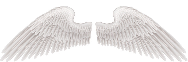 Wings Vector Images (over 400,000)