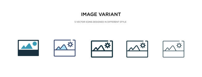 Image variant icon in different style two vector