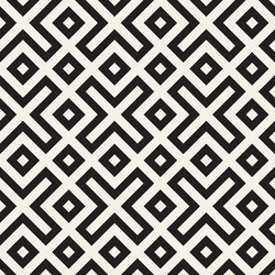 Stylish lines lattice ethnic monochrome texture vector