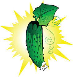 cucumber fresh vector