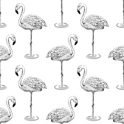 Flamingo sketch seamless pattern vector