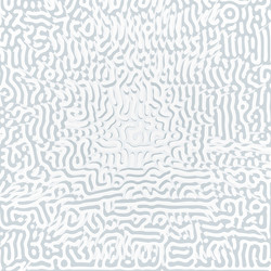 turing morphogenesis reaction diffusion pattern vector image