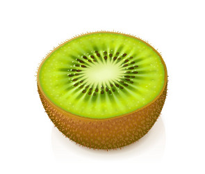 kiwi exotic ripe juicy fruit vector