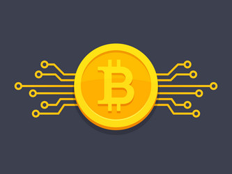 Bitcoin with circuit board icon vector