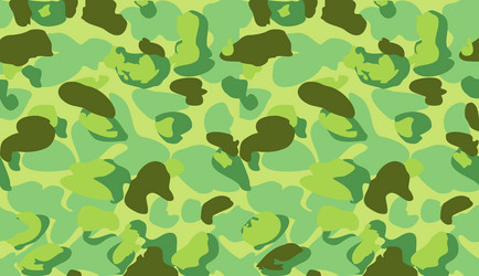 Camouflage pattern background classic clothing Vector Image