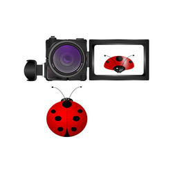 Realistic digital video camera and ladybug vector