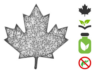 maple leaf web mesh vector image