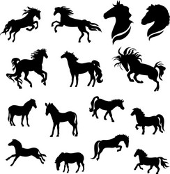 Horse Silhouettes Collection Vector Image
